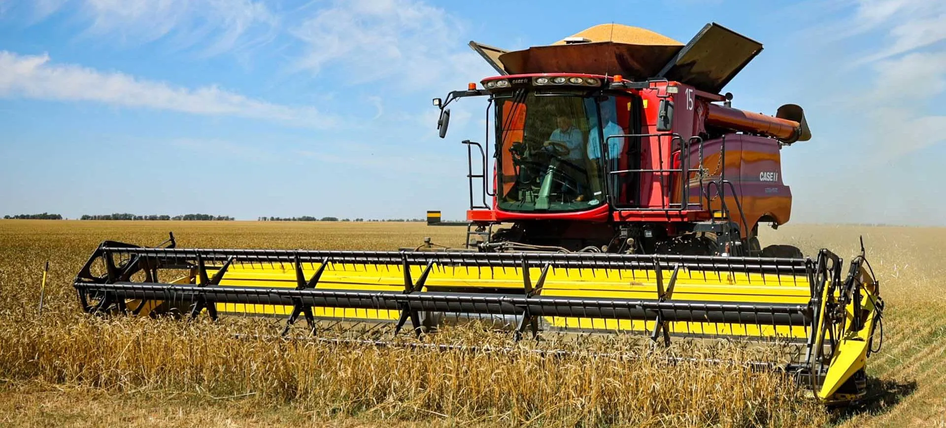 Кирилл Брага/РИА Новости