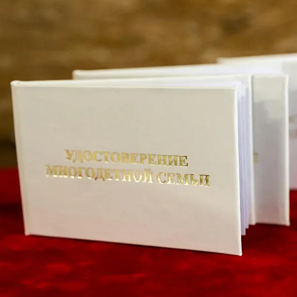 В&nbsp;Приморье оптимизировали получение мер поддержки многодетными семьями