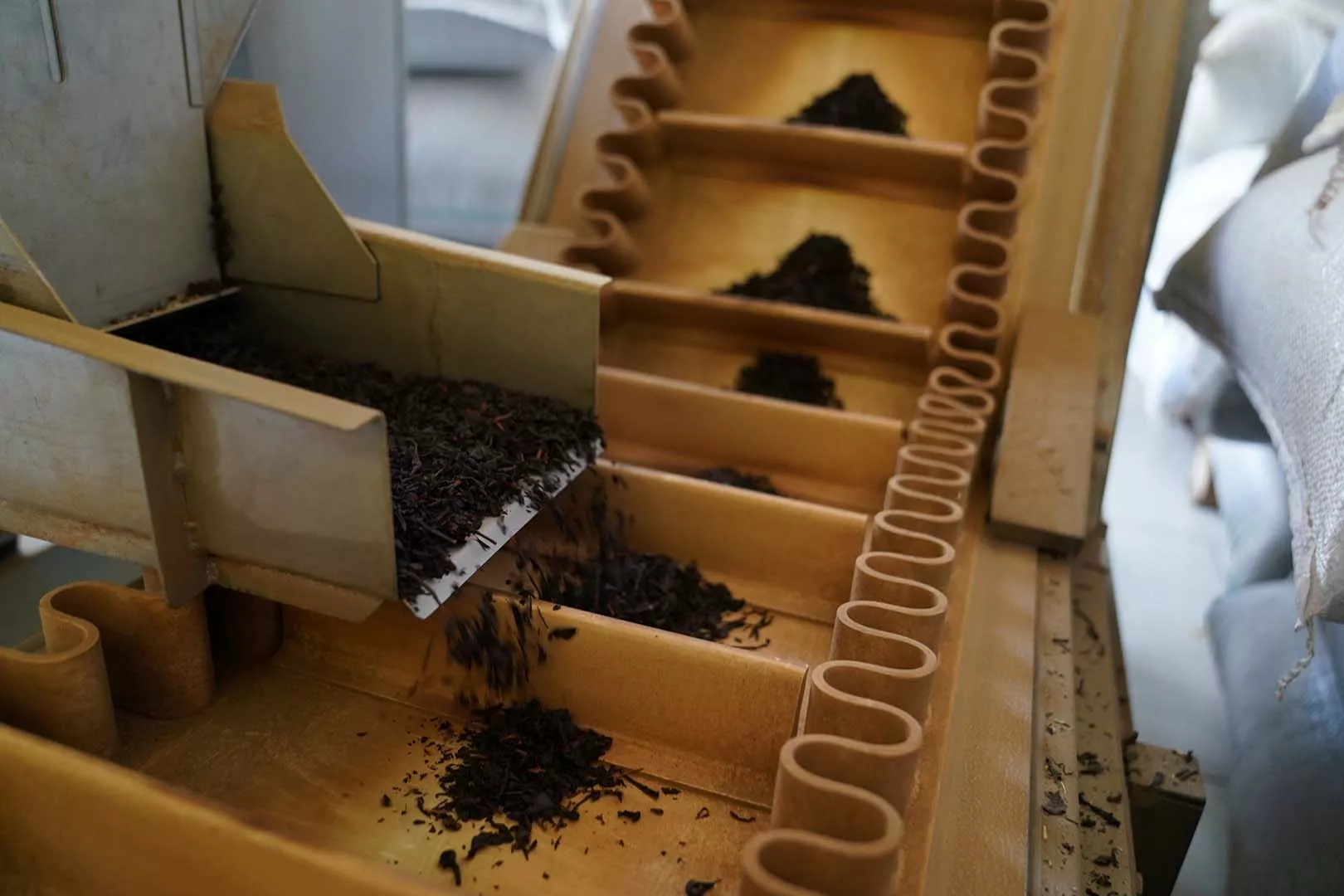 Артур Лебедев/РИА Новости