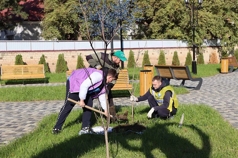 В&nbsp;Сквере молодоженов города Ипатово на&nbsp;Ставрополье высадили молодые деревья