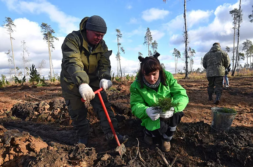 В&nbsp;Мордовии восстановили леса на&nbsp;площади 500&nbsp;гектаров