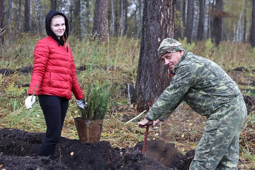В&nbsp;Новосибирской области высадят более 120&nbsp;тыс. деревьев