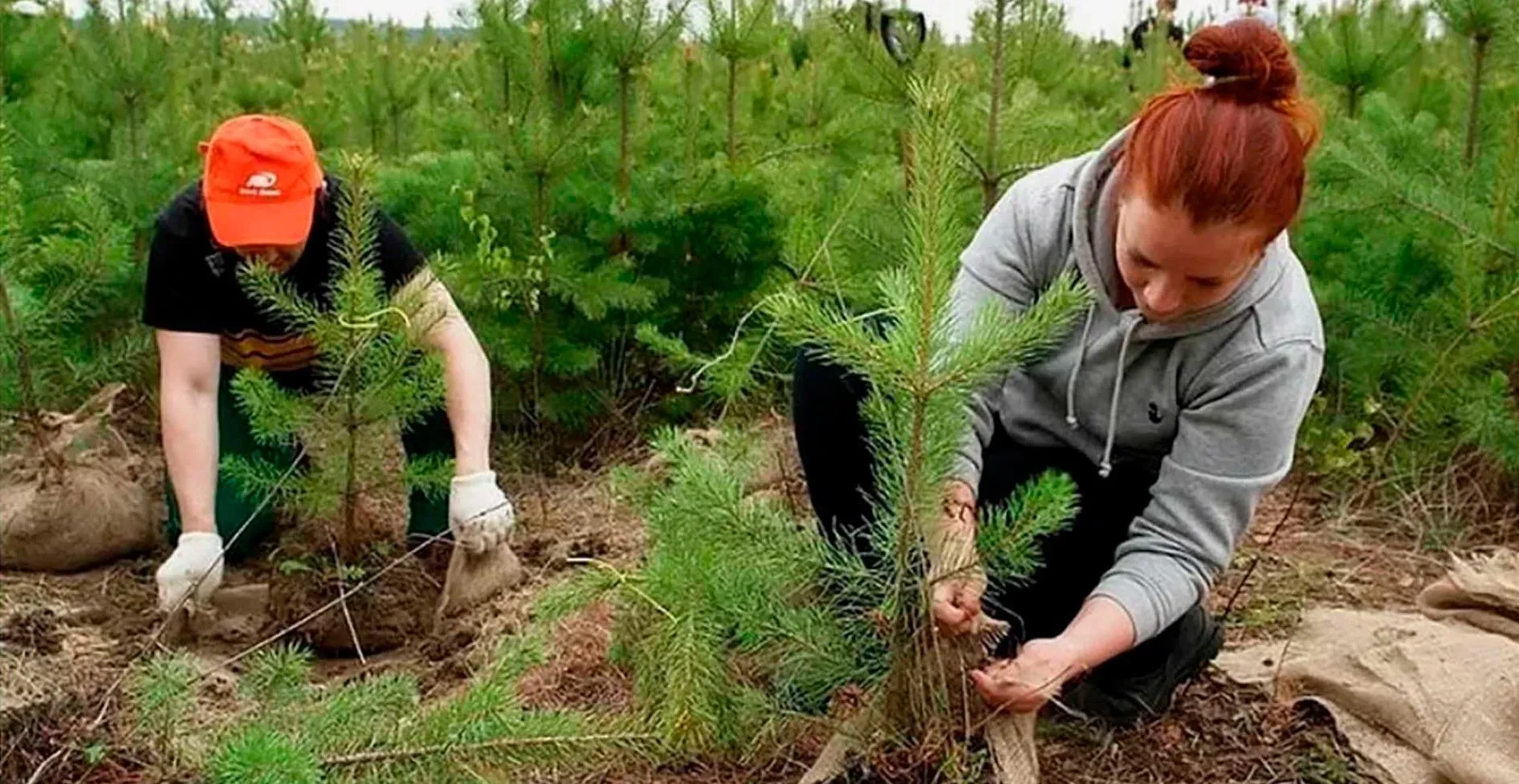 Пресс-служба Правительства Нижегородской области