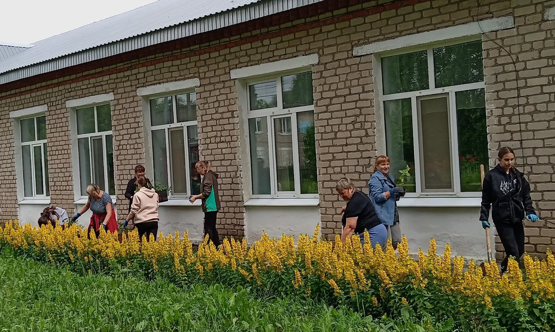 В&nbsp;селе Трун Пермского края появится школьное лесничество