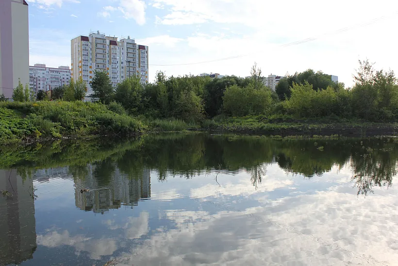 В&nbsp;Мордовии из&nbsp;русла Саранки извлекли более 47&nbsp;тысяч кубометров ила