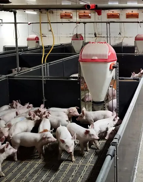 В&nbsp;Волгоградской области сотрудники сельхозпредприятия прошли обучение