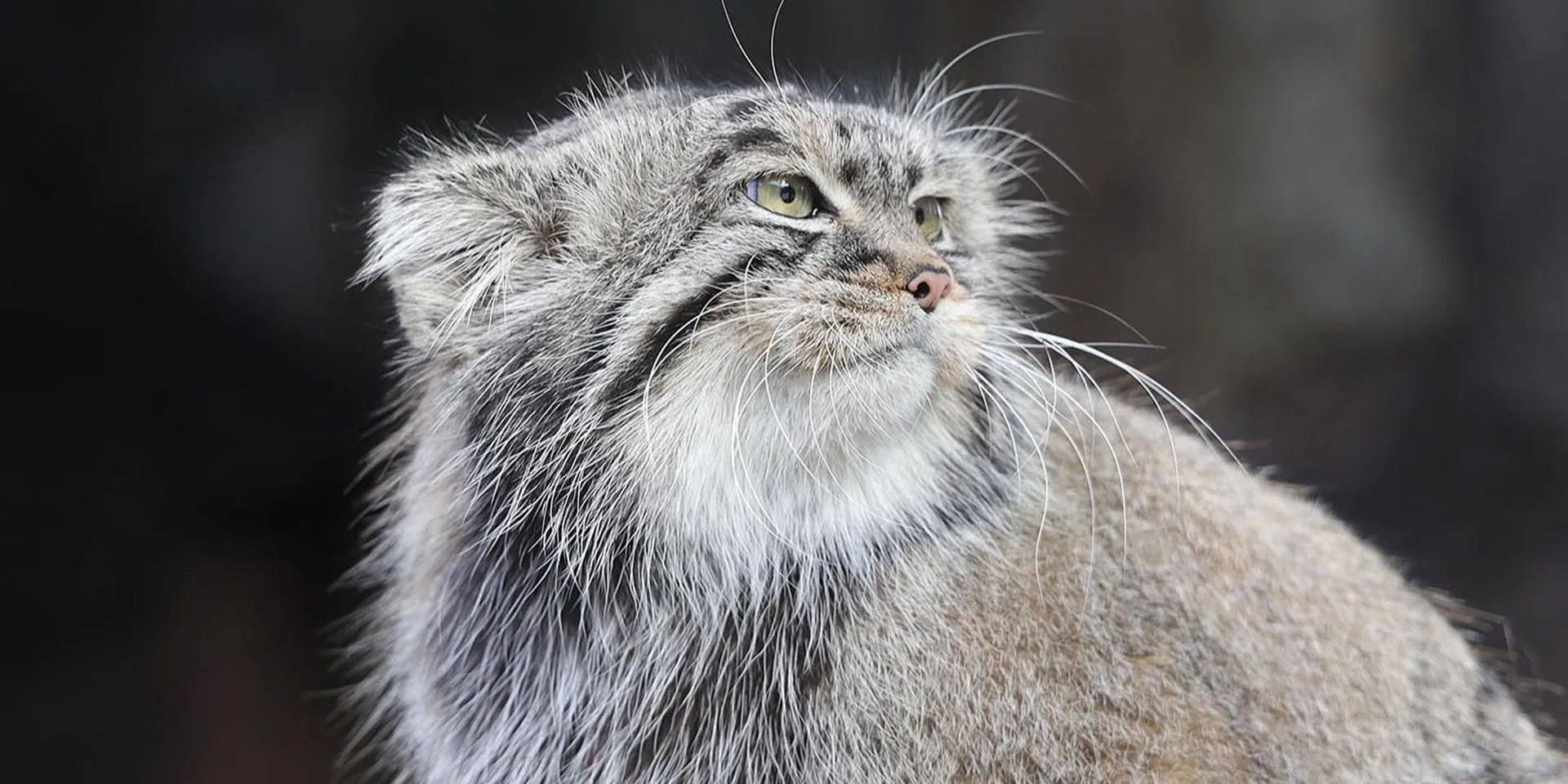 Департамент экономической политики и развития г. Москвы
