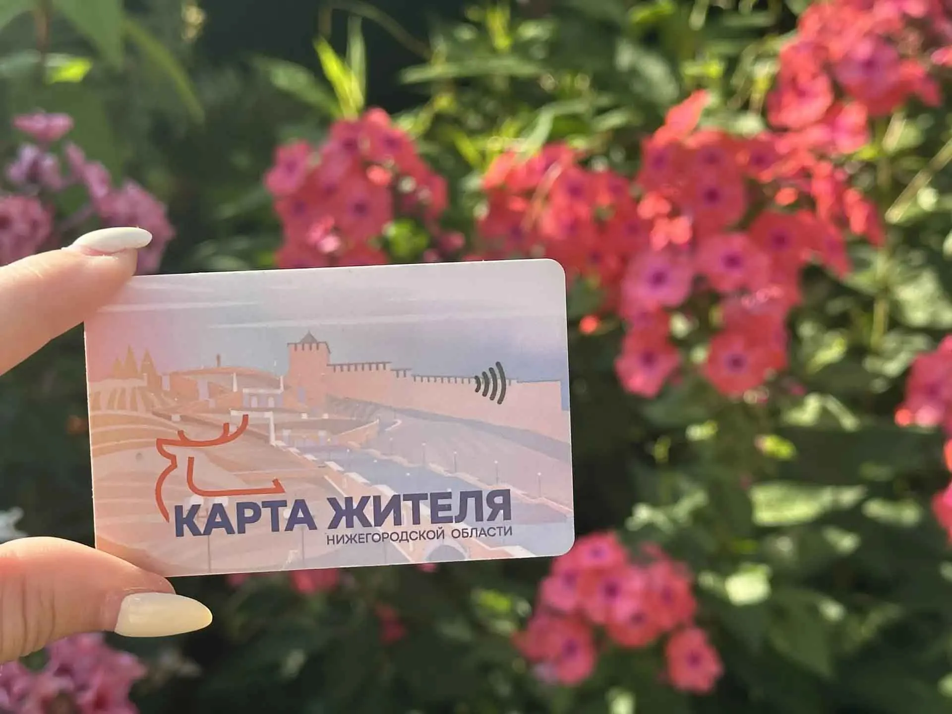 ГКУ НО "Пресс-служба правительства Нижегородской области"