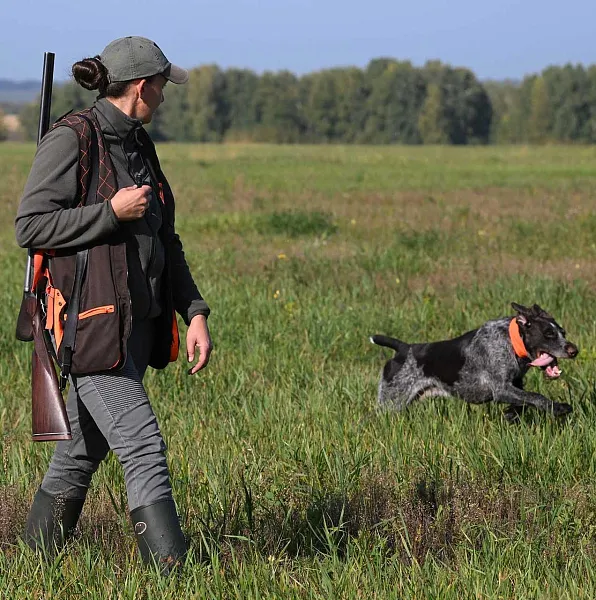 В&nbsp;Тюменской области стартовал прием заявлений охотников на&nbsp;добычу птиц