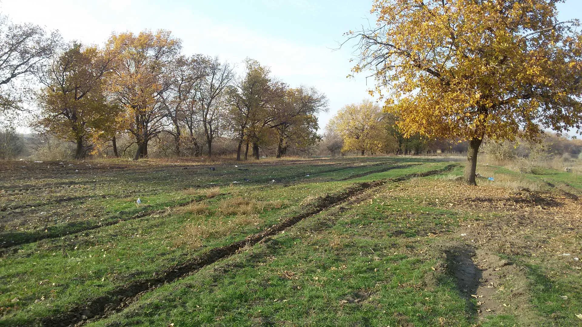 В&nbsp;Волгоградской области в&nbsp;2025&nbsp;году ликвидировали 17&nbsp;поселковых свалок