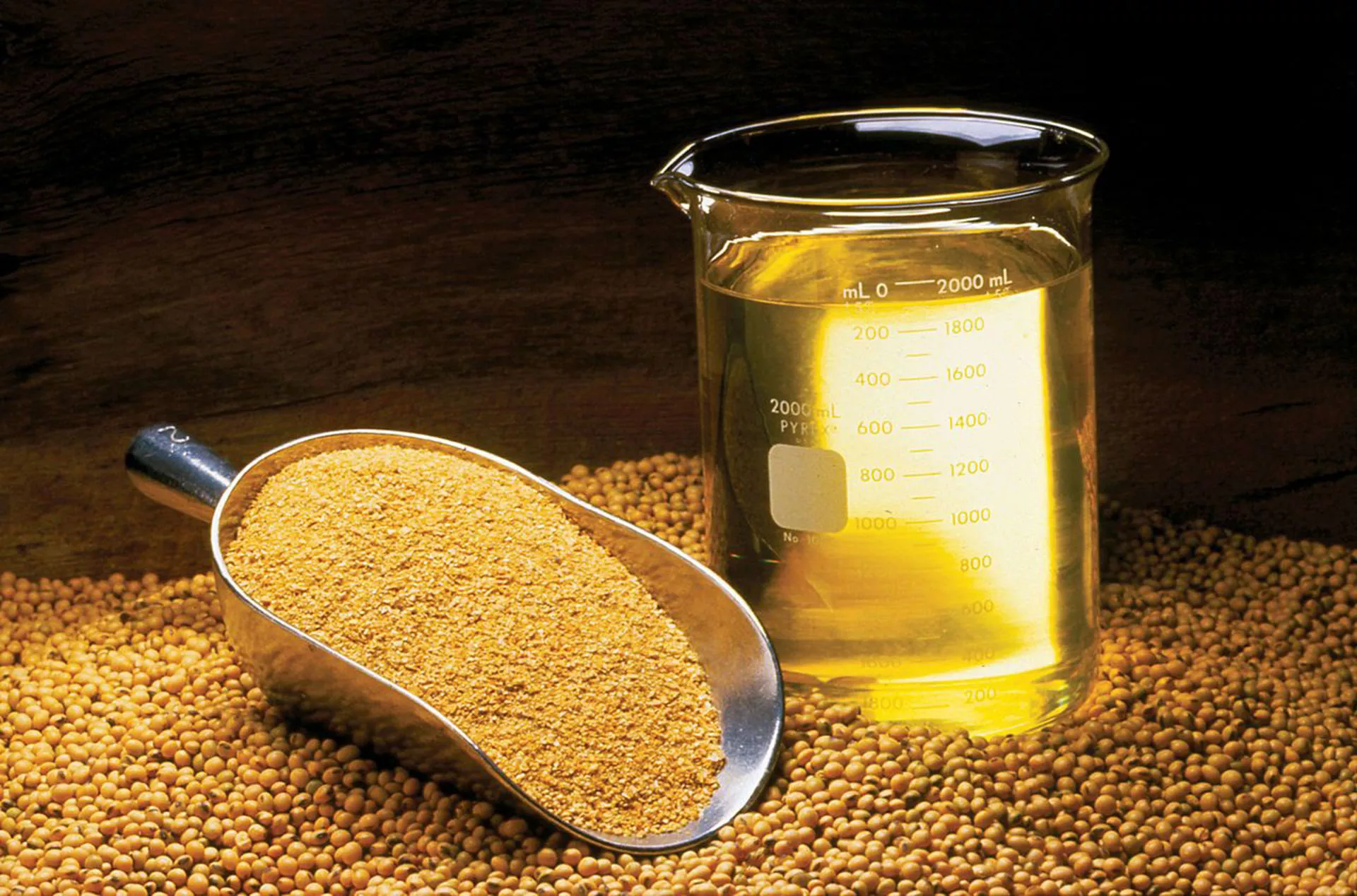 United Soybean Board or the Soybean Checkoff/CC BY 2.0