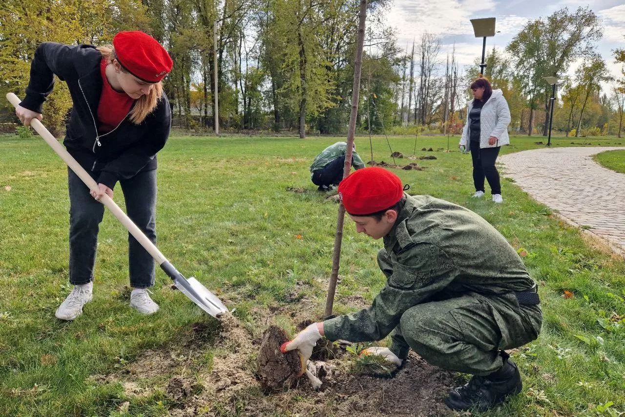 Правительство Ростовской области