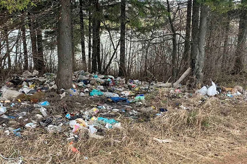 С&nbsp;территории Тиминского пруда в&nbsp;Пермском округе убрали мусор