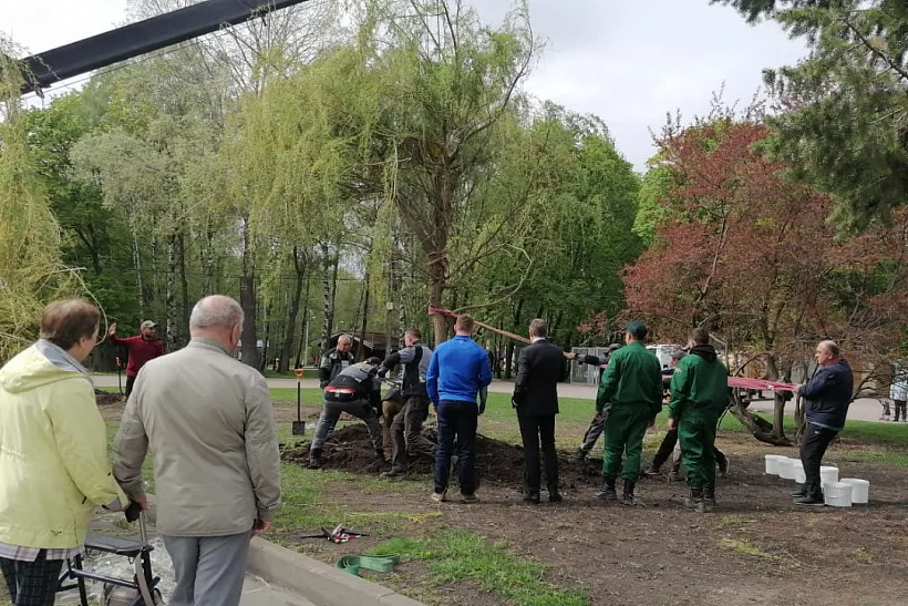 В&nbsp;центральном парке Тулы высадили саженцы ивы