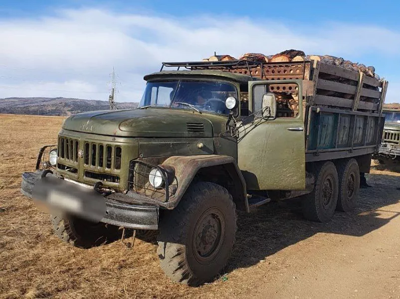 В&nbsp;Забайкалье снизилось число незаконных рубок