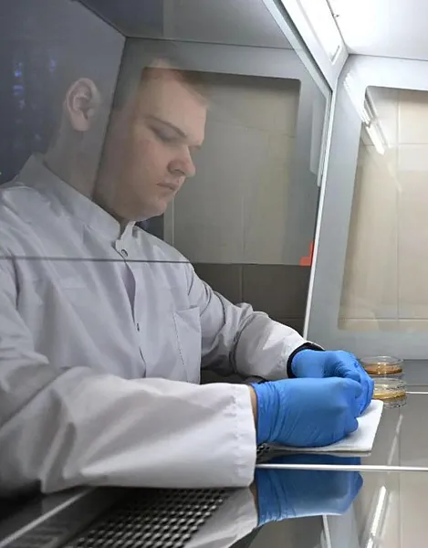 В&nbsp;Мордовии открыли метод лечения грибковых заболеваний с&nbsp;помощью борщевика