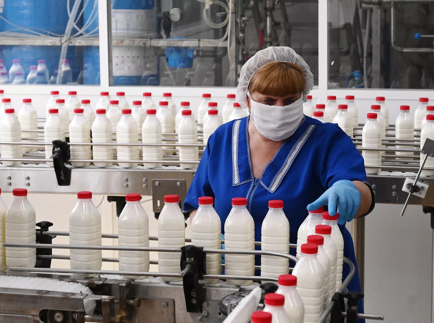 Башкирия экспортировала 600&nbsp;тысяч тонн продукции агропрома в&nbsp;2023&nbsp;году