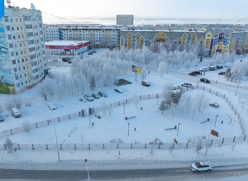 В&nbsp;Надыме на&nbsp;Ямале появилась круглогодичная площадка для&nbsp;выгула собак