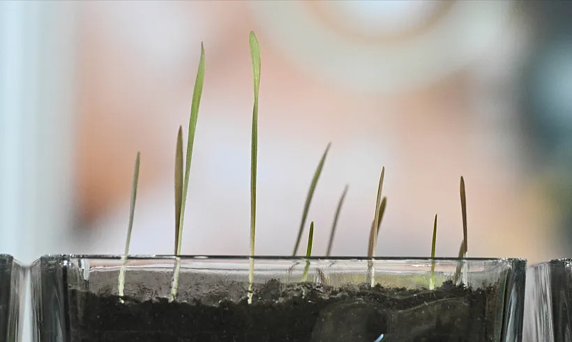 В&nbsp;поселке Раздольном на&nbsp;Камчатке откроют агротехкласс