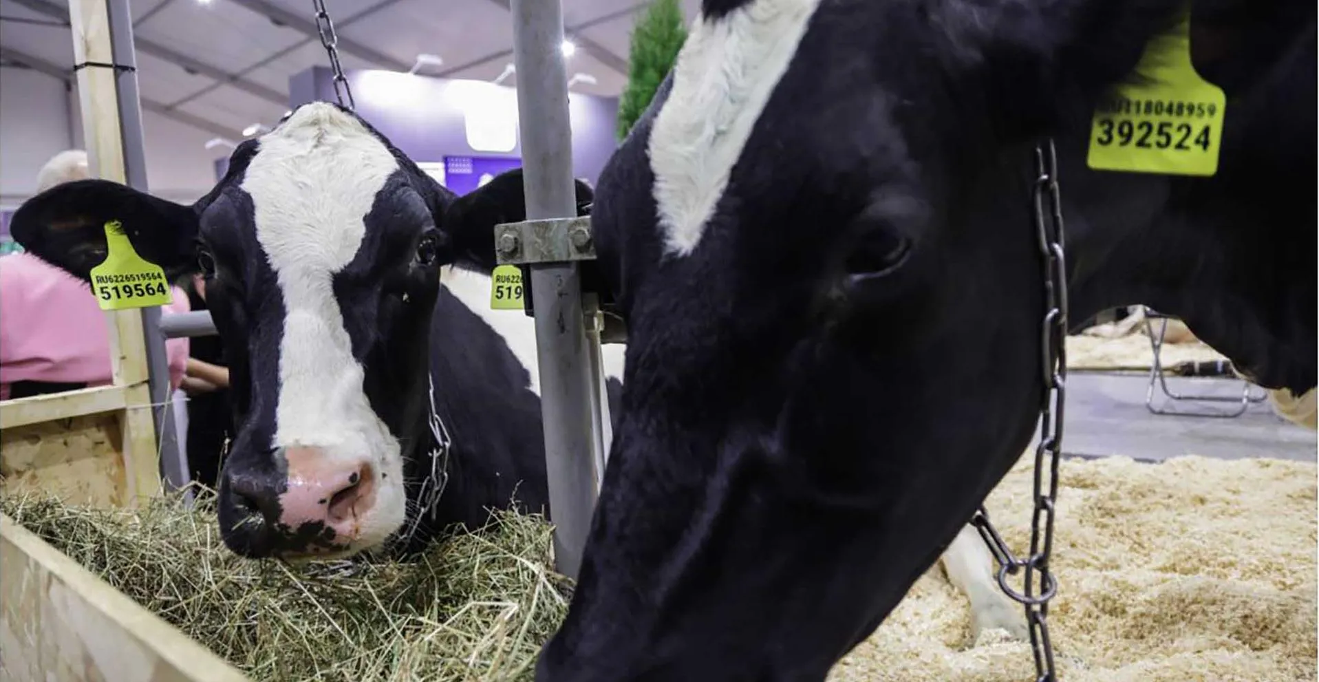 Министерство информации и молодежной политики Московской области