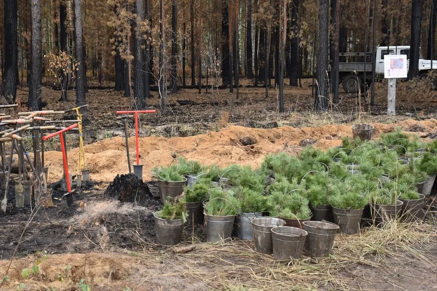 Министерство природных ресурсов, экологии и охраны окружающей среды Республики Марий Эл
