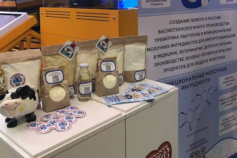 Ставропольские ученые разработают высокобелковые молочные продукты