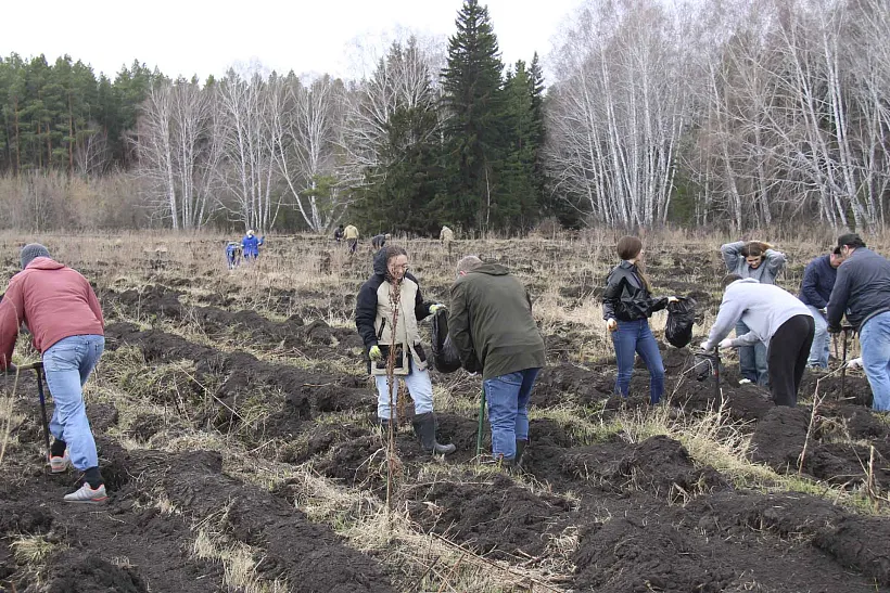 В&nbsp;Омской области прошло первое в&nbsp;регионе мероприятие акции &laquo;Сад памяти&raquo;