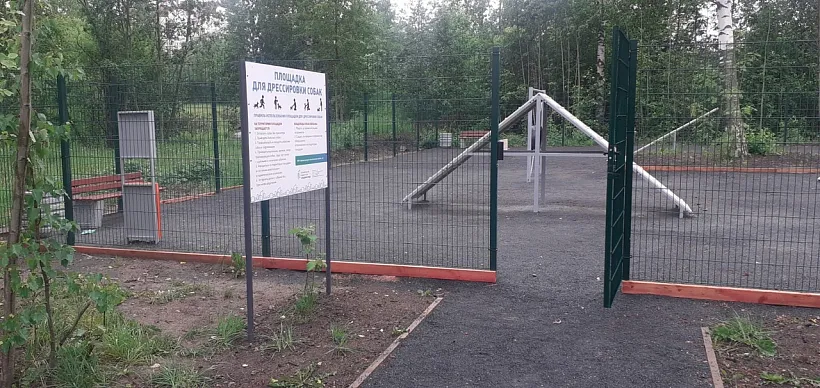Часть Лососинского парка благоустроили в&nbsp;Петрозаводске