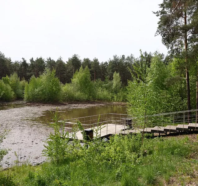 В&nbsp;парке Дзержинска Нижегородской области началась расчистка Утиного озера
