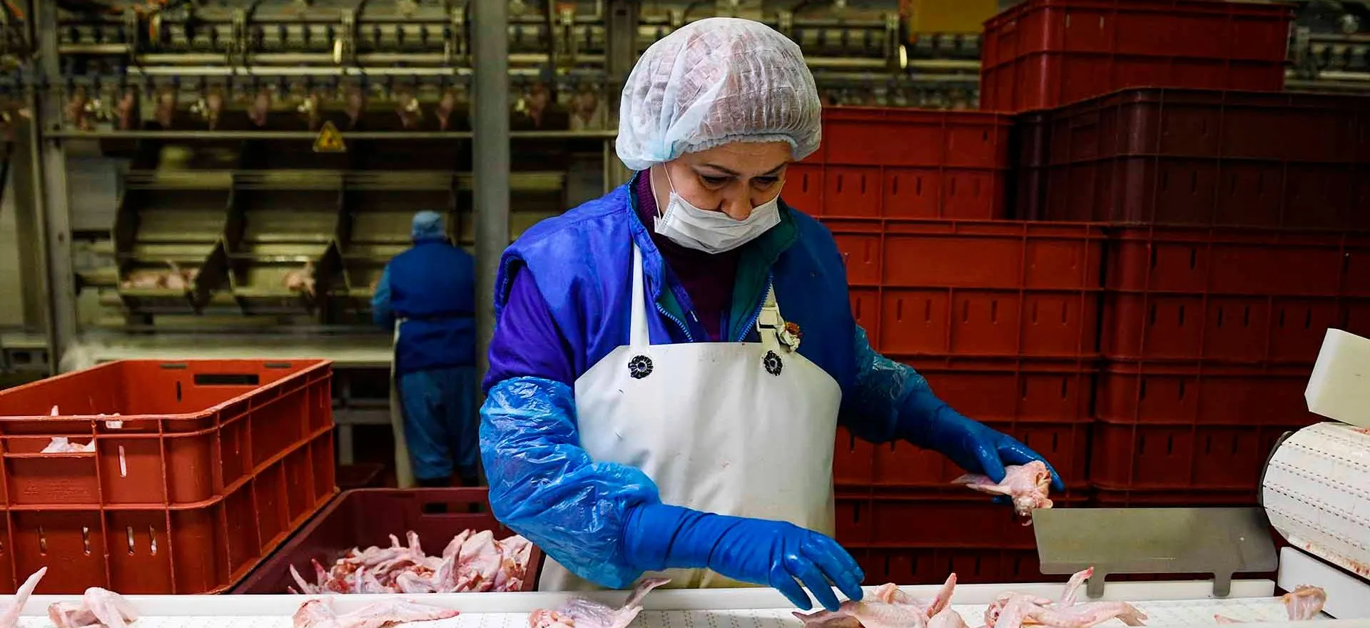 Александр Кряжев/РИА Новости