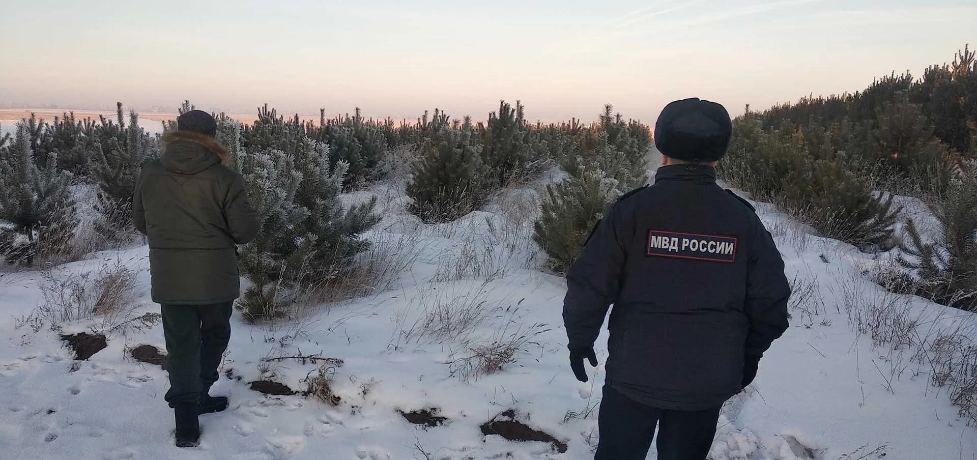 Министерство природных ресурсов и экологии Алтайского края