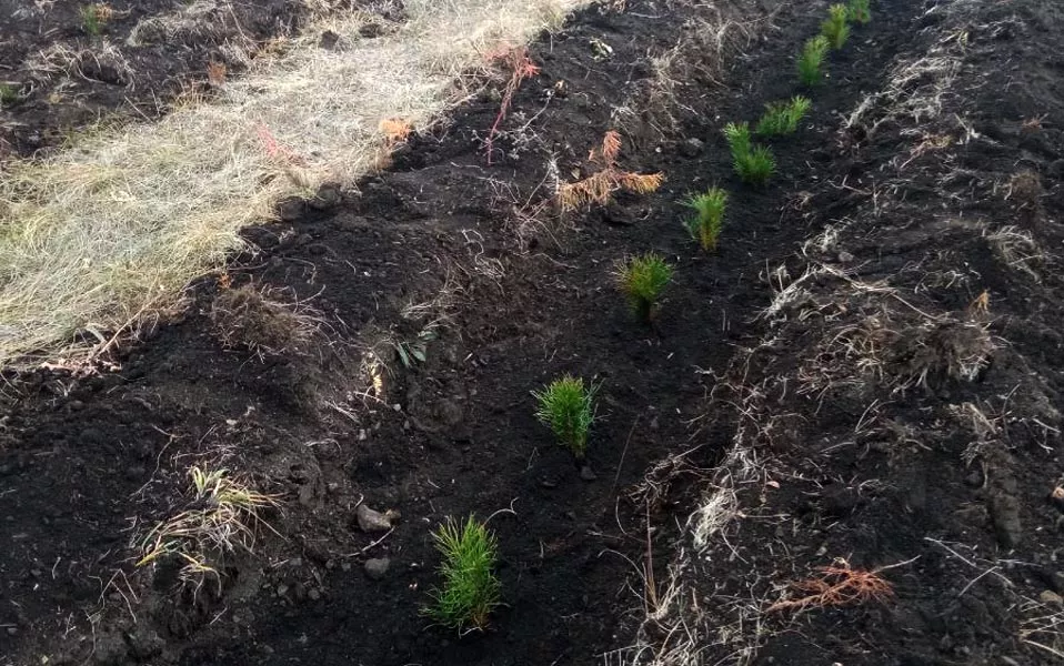 Минприроды Саратовской области