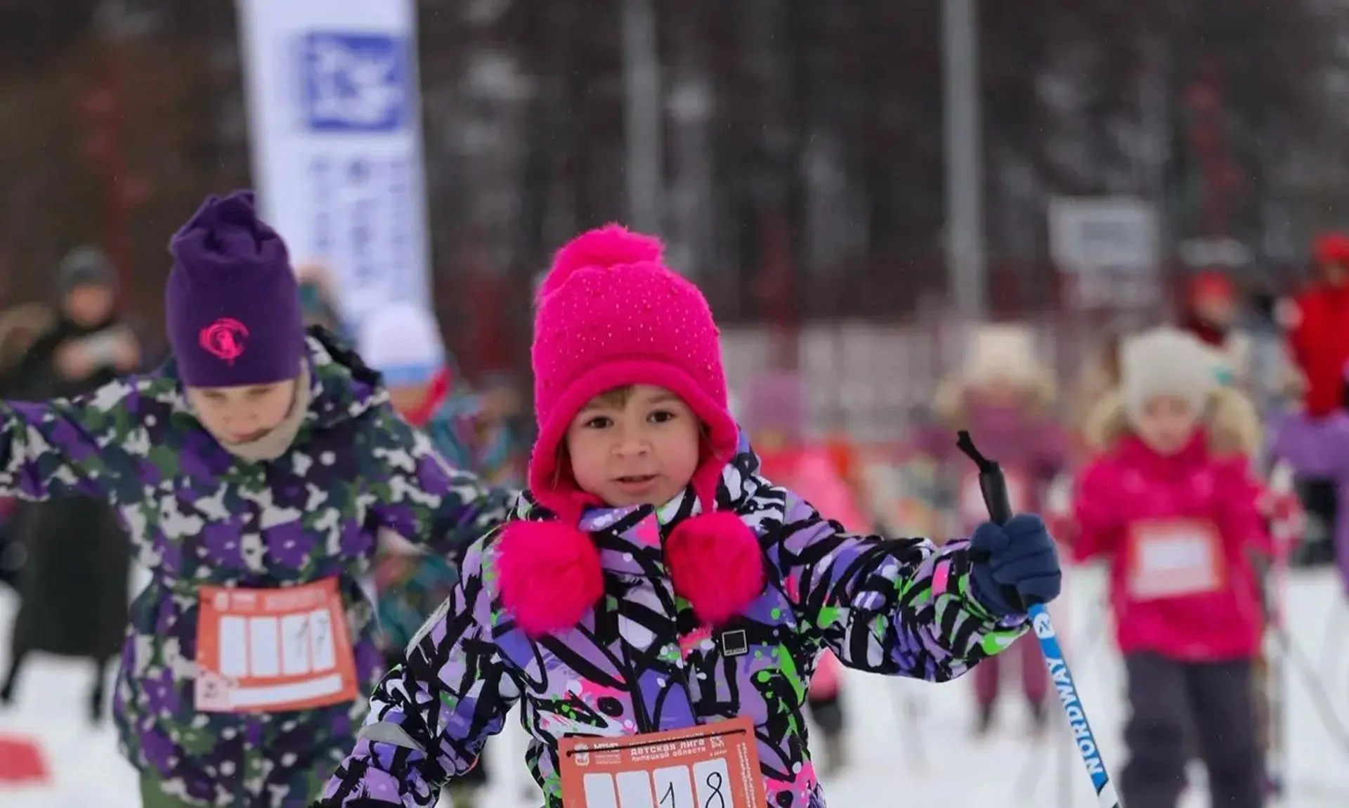 Министерство физической культуры и спорта Липецкой области