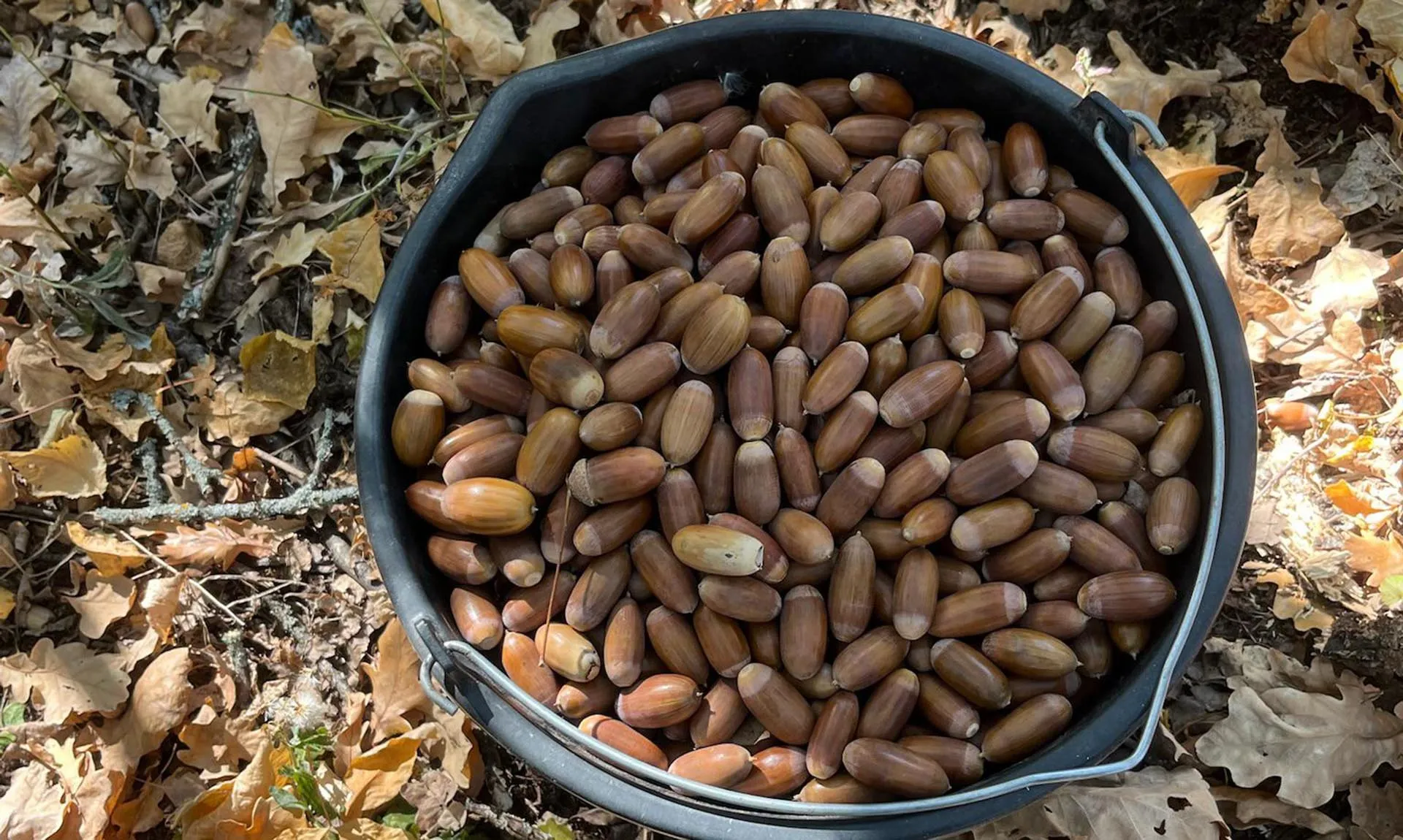  Комитет природных ресурсов, лесного хозяйства и экологии Волгоградской области