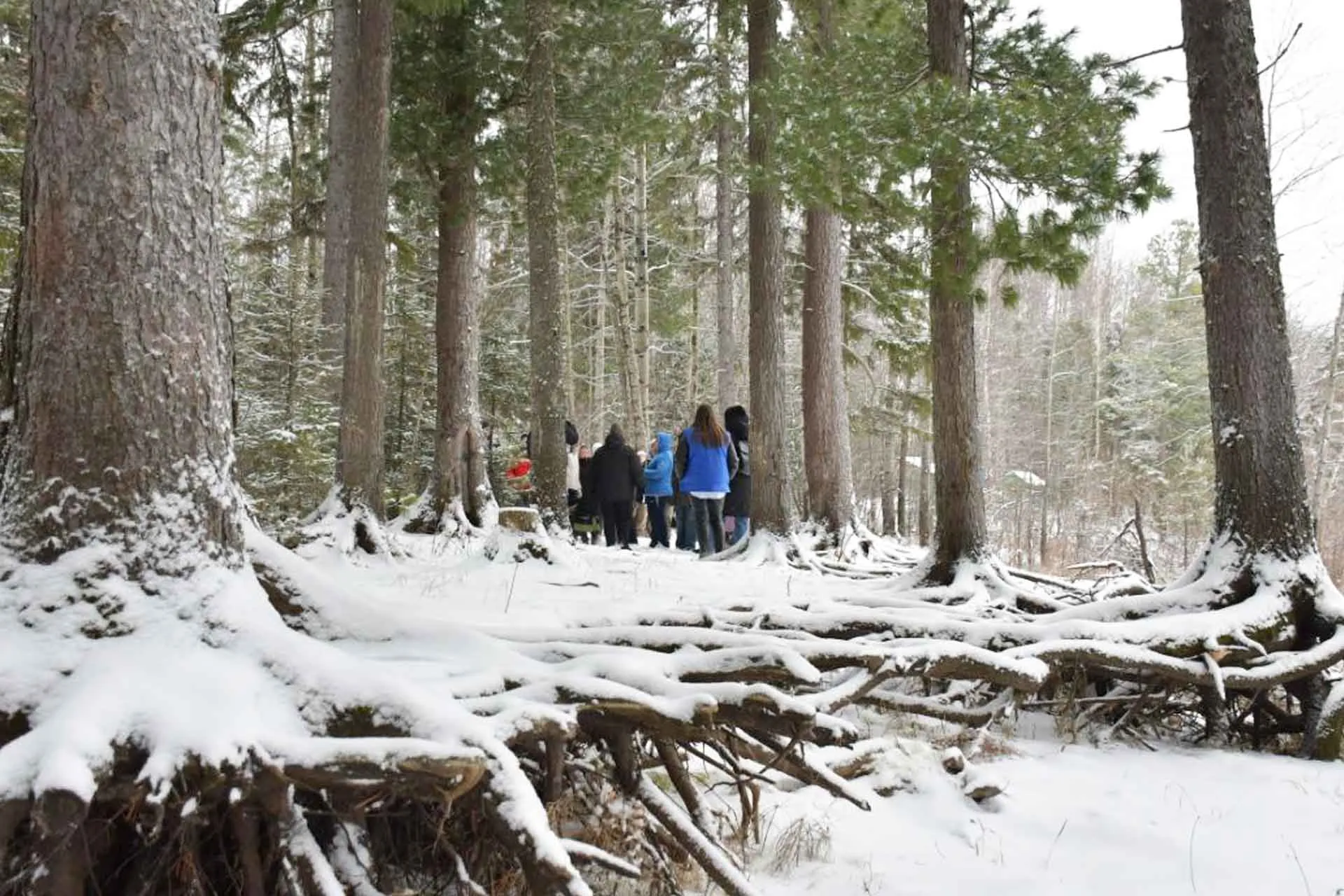 Администрация Нефтеюганского района