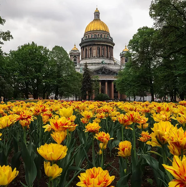 В&nbsp;центре Санкт-Петербурга создали сад-трансформер