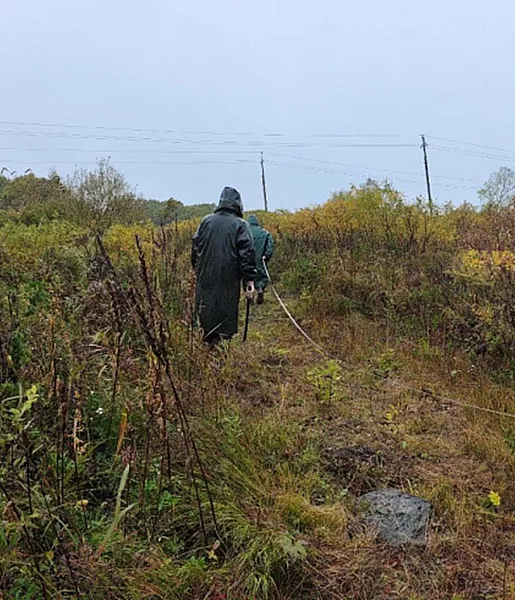 В&nbsp;Приморье восстановили лес на&nbsp;площади более 1,2&nbsp;тысячи гектаров