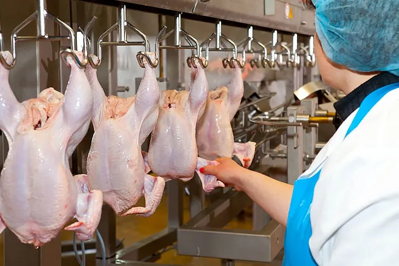 На&nbsp;Ставрополье отмечают положительную динамику в&nbsp;экспорте мяса птицы