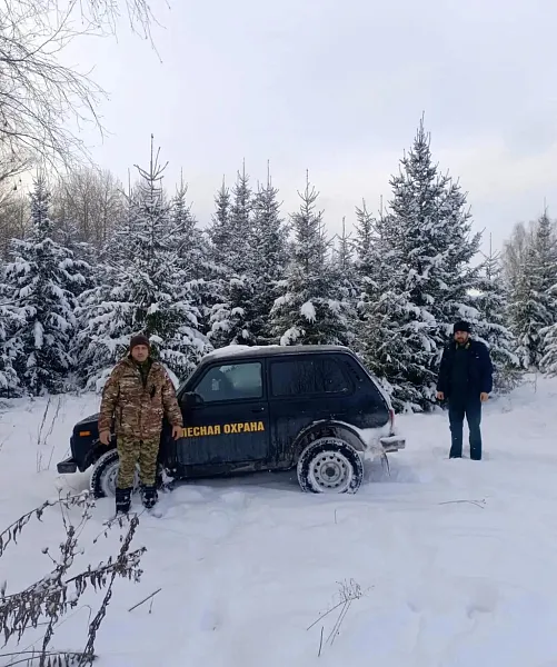 В&nbsp;Башкирии лесные инспекторы провели около 24,5&nbsp;тысячи патрулирований