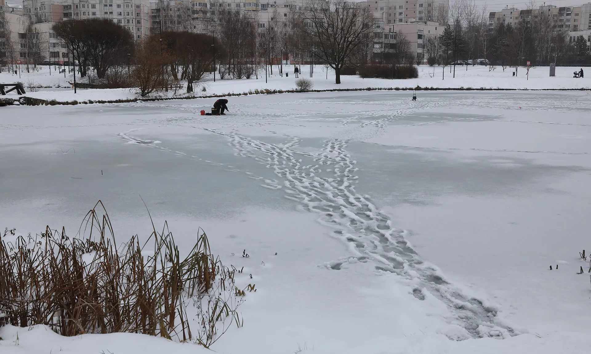 MAXIM SHIPENKOV/EPA/ТАСС