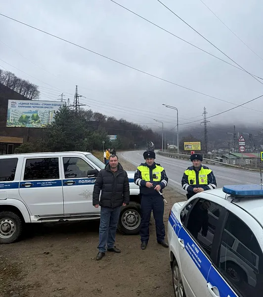 В&nbsp;КЧР число незаконных рубок леса сократилось почти в&nbsp;2&nbsp;раза за&nbsp;год