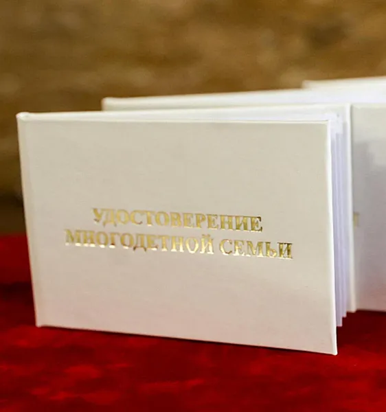 В&nbsp;Приморье увеличили выплату семьям с&nbsp;шестью детьми на&nbsp;покупку авто
