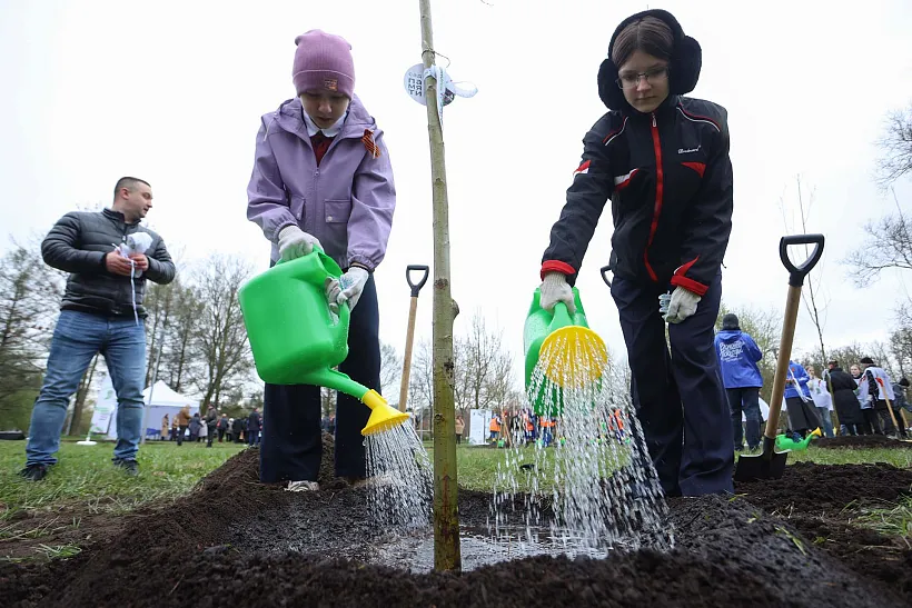 Воронежская область в&nbsp;этом году вновь присоединится к&nbsp;акции &laquo;Сад памяти&raquo;