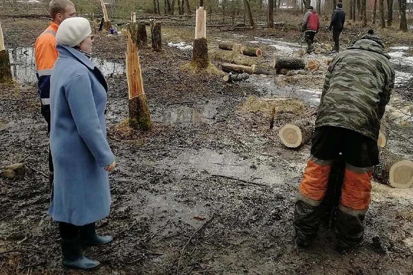 В&nbsp;поселке Тихменево Ярославской области продолжили обновление парка Победы