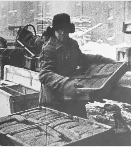 В&nbsp;Петербурге оцифровали документы времен Великой Отечественной войны