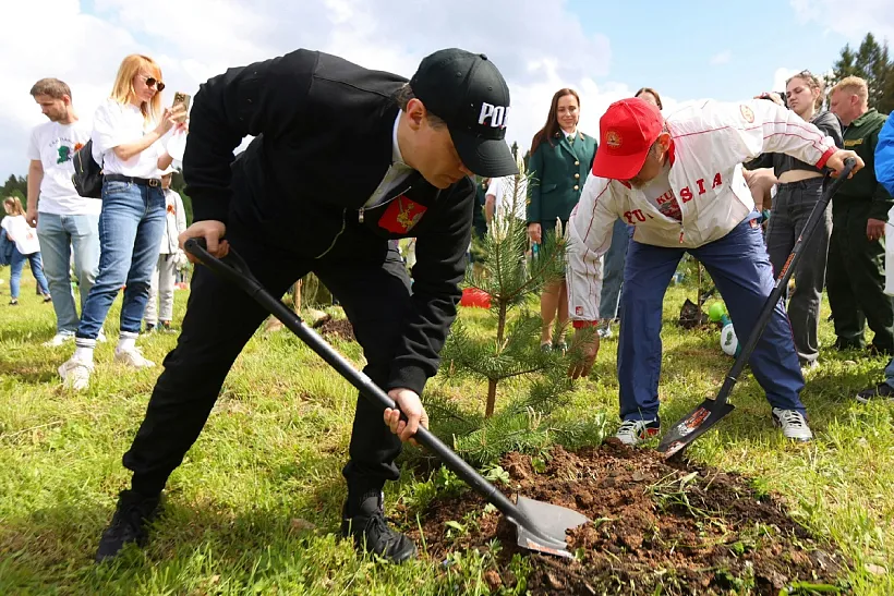 В&nbsp;Вологодской области высадят более 270&nbsp;тысяч деревьев