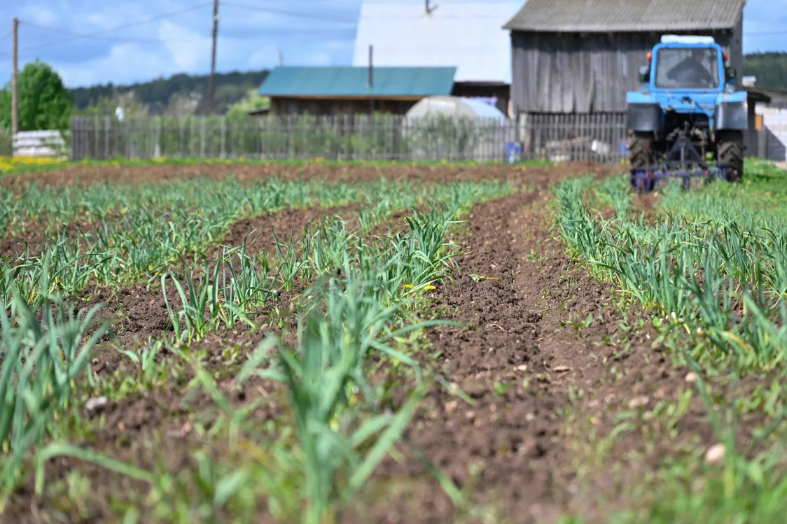 Министерство агропромышленного комплекса Пермского края