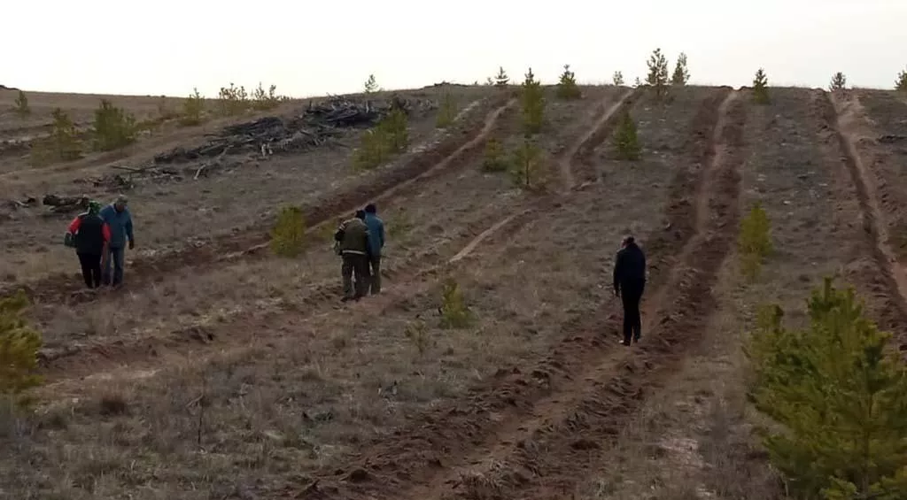 Министерство природных ресурсов и экологии Алтайского края