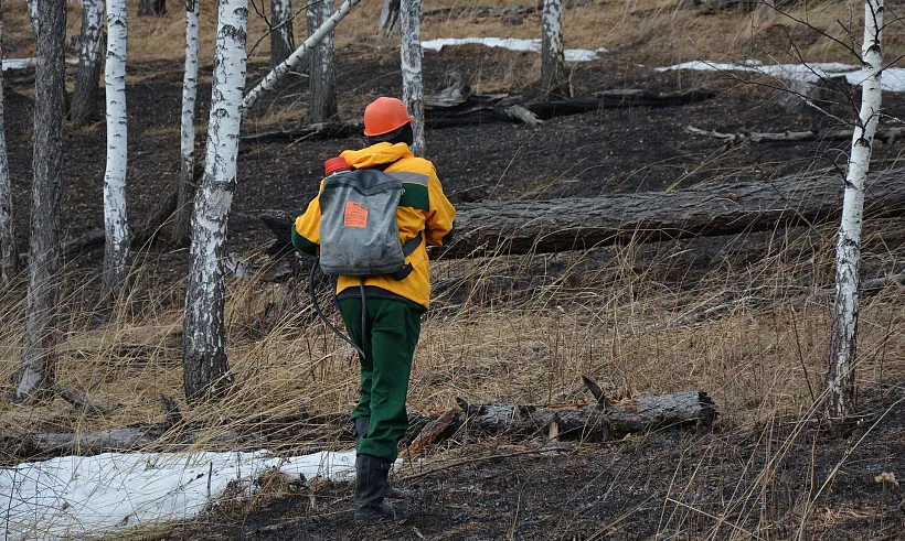 В&nbsp;Красноярском крае стартовало сезонное патрулирование леса