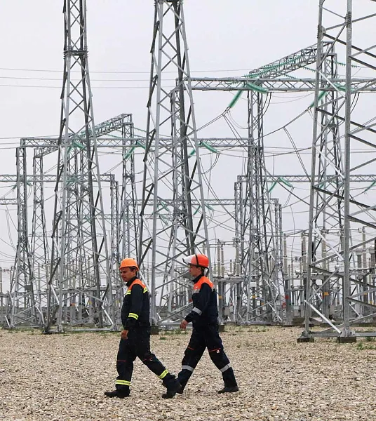 В&nbsp;Воронежской области завод лимонной кислоты подключили к&nbsp;электросетям